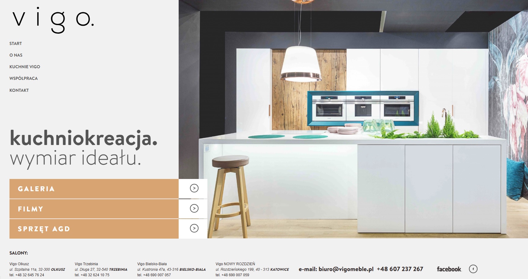 Strona www Nowoczesne Meble VIGO